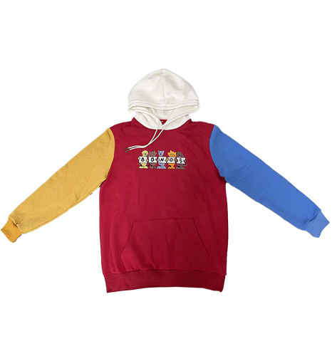 BBNO$ Embroidered Pet Color Block Hoodie